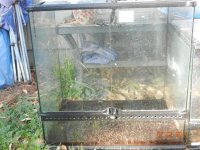 tanks for sale 003.jpg