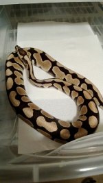 WP_20130905_006.jpg