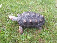 20140504_084947.jpg