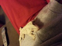 20140409_231852.jpg