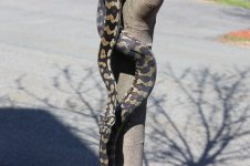 IMG_8198.jpg