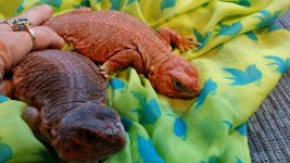 20140514_160311.jpg