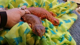 20140514_160304.jpg