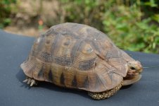 DSC_0107.jpg