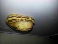 20140409_102714.jpg