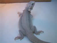 100_6035.jpg