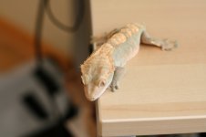 IMG_2706.jpg