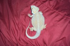 DSC05374.jpg