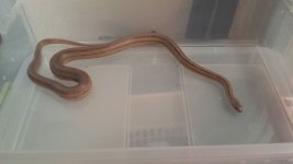 20140514_165249.jpg