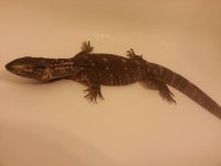 20140419_130205.jpg