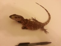 20140419_130425.jpg