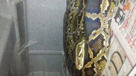 20140227_122448.jpg