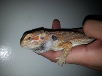20140127_120519.jpg