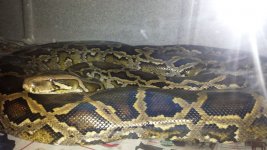 20140227_122439.jpg