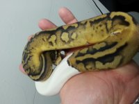 20140215_073847.jpg