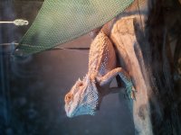 20131213_183505.jpg