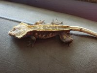 DSC00111.JPG