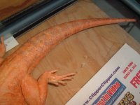 2012_0619Rahja0007.JPG