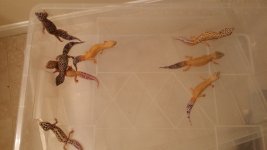 20140319_190936.jpg