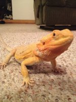 IMG_0815.jpg