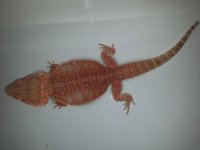 20131116_170138.jpg
