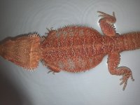 20131116_170147.jpg