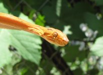 IMG_14691.jpg
