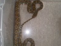 IMG00301-20100812-1222.jpg