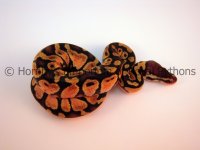 DSCN3546Watermark.jpg