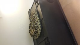 20140131_202435.jpg