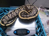 CAM00992.jpg