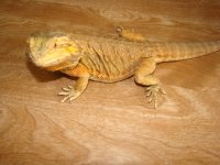 DSC01434.JPG