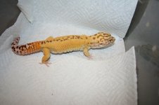 IMG_2063.jpg