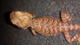 20140603_120910.jpg