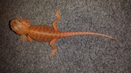 20140603_173204.jpg
