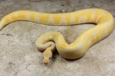 IMG_1128fn.jpg