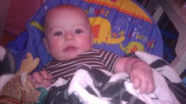 IMAG0498.jpg