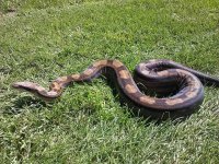 IMG_50118115526231.jpeg