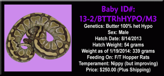 13-2.BTTRhHYPO.M3.gif