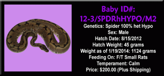 12-3.SPDRhHYPO.M2.gif