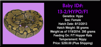 13-2.HYPO.F1.gif