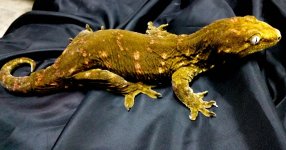 20140603_135338.jpg