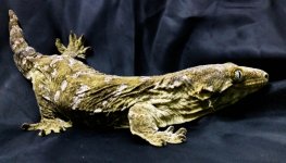 20140603_135717.jpg