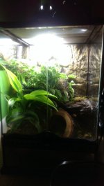 IMAG0156.jpg