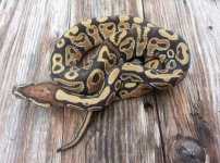20140115_134119-1.jpg