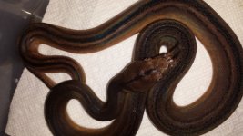 20140414_213418.jpg