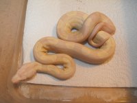 snakes 046.jpg