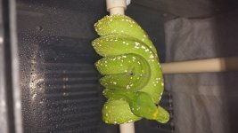 20140313_012951.jpg