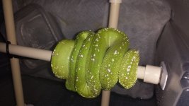 20140313_013013.jpg