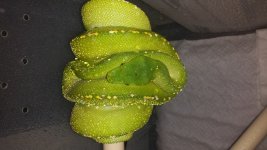 20140313_013045.jpg
